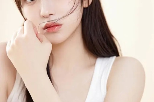 国际大明星打人或被胖揍的10个画面施瓦辛格被粉丝横空飞踹！