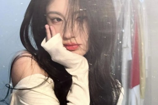 娛樂圈暴力明星打人事件